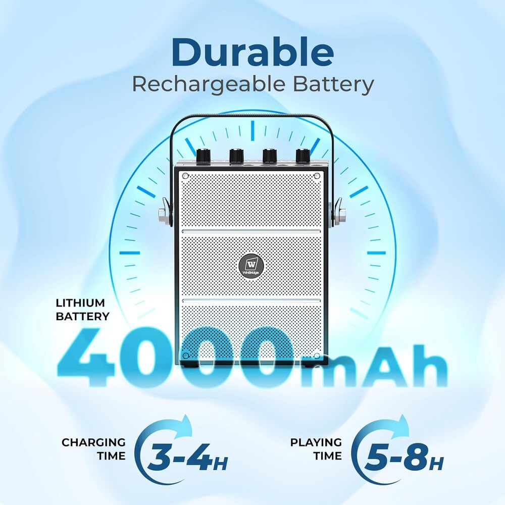 100W Powerful Voice Amplifier with 2 Wireless Microphones